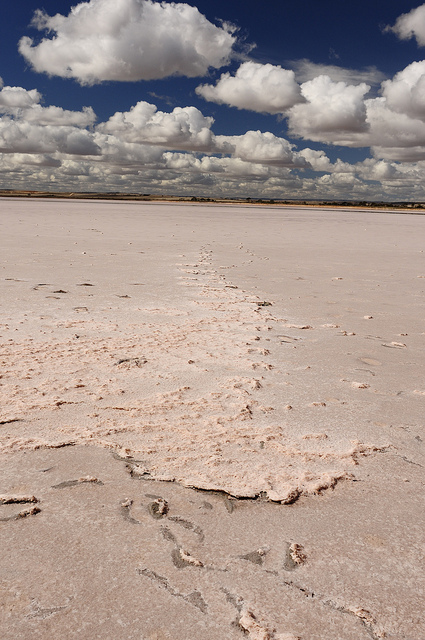 suche jezioro solne, w tym przypadku lekko rozowe